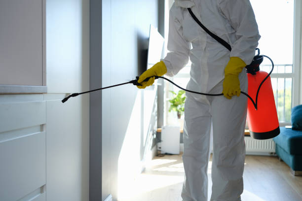 Best Mold Odor Removal Services  in Eagle Butte, SD