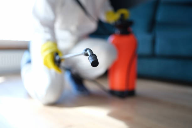 Best Crawl Space Mold Remediation  in Eagle Butte, SD